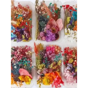 FLORES SECAS GRANDES Y CHICAS ( las imágenes son solo ilustrativas)